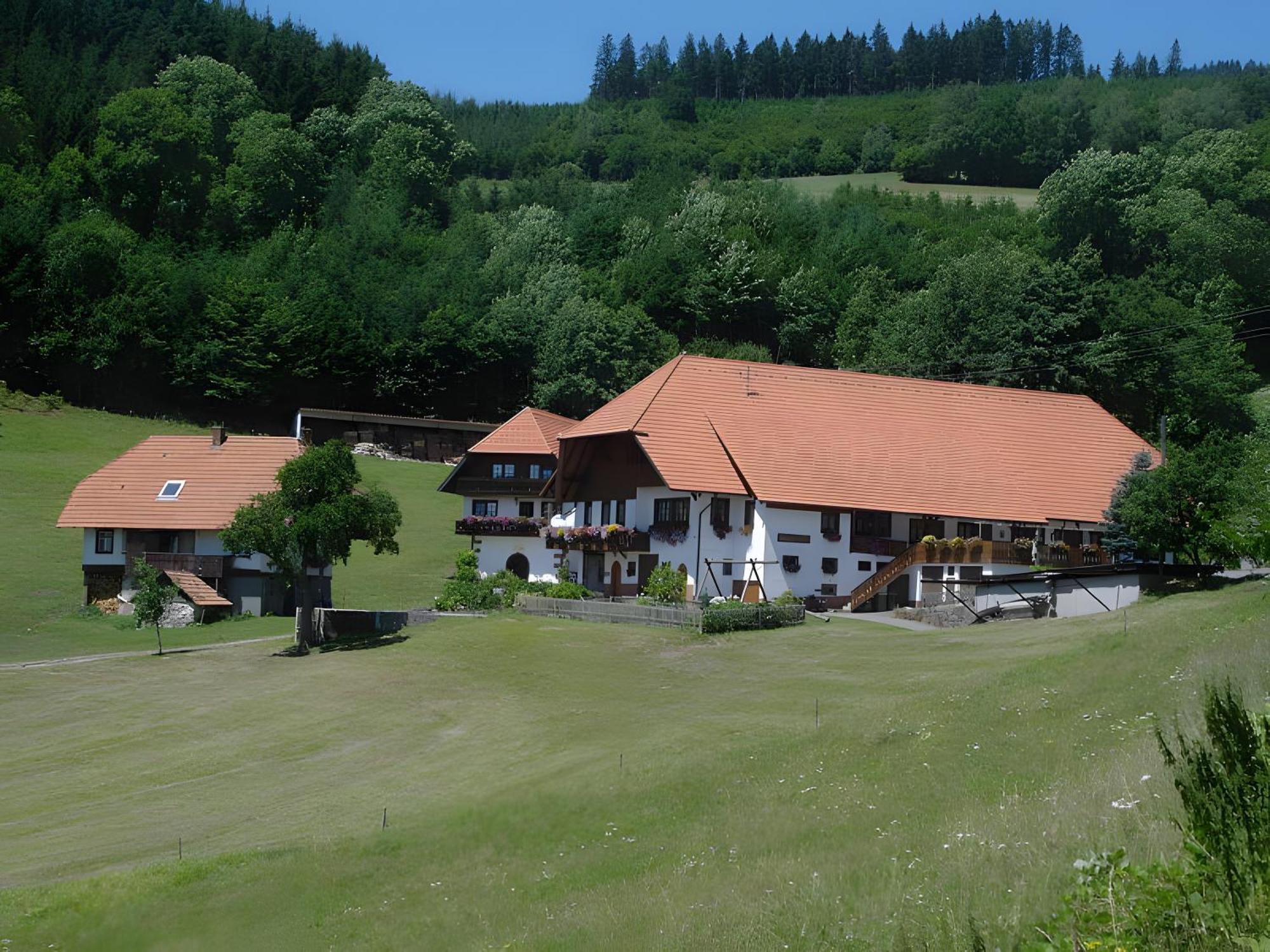 Apartament Uhlhof Neuenbach Zewnętrze zdjęcie