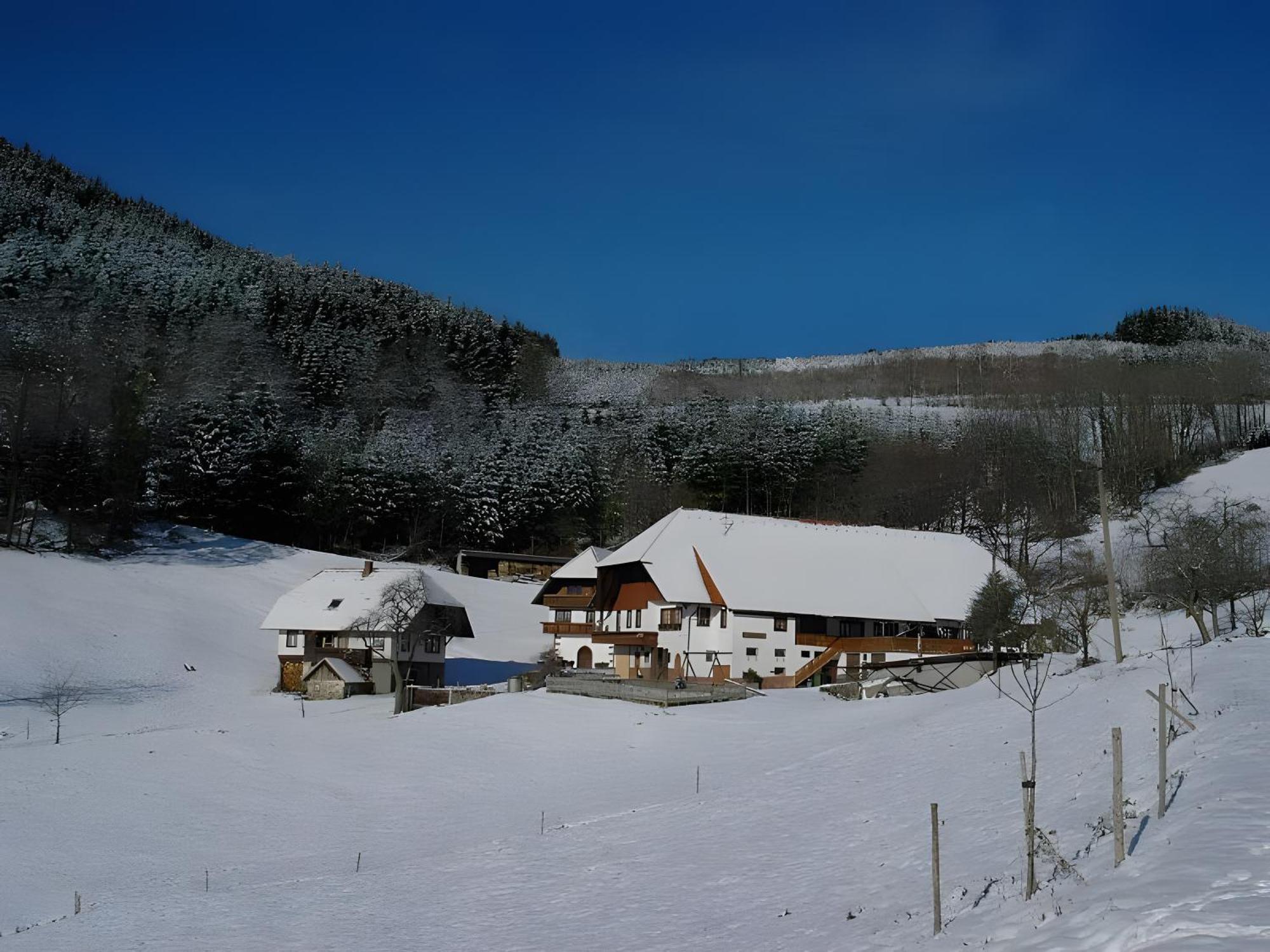Apartament Uhlhof Neuenbach Zewnętrze zdjęcie