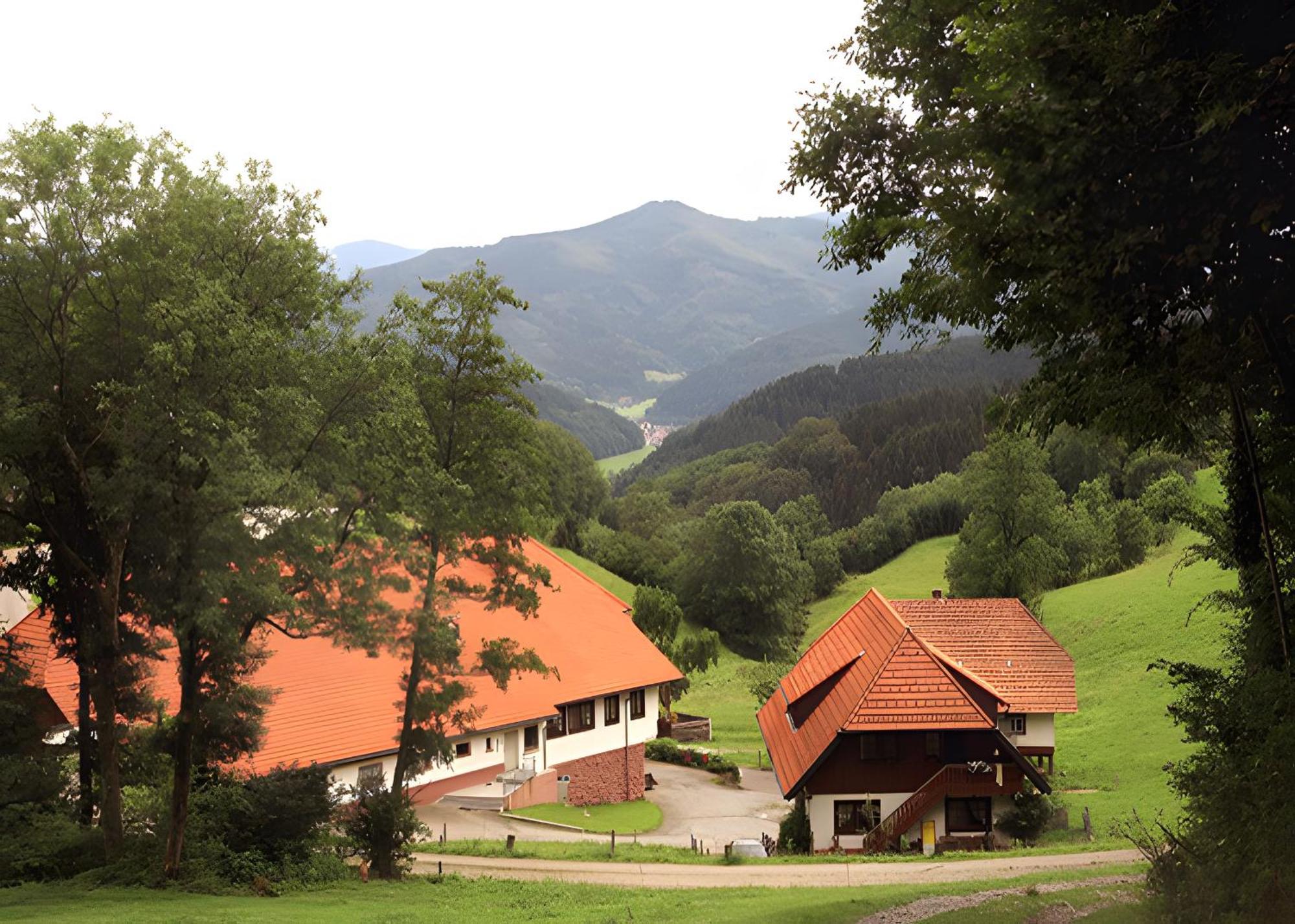 Apartament Uhlhof Neuenbach Zewnętrze zdjęcie